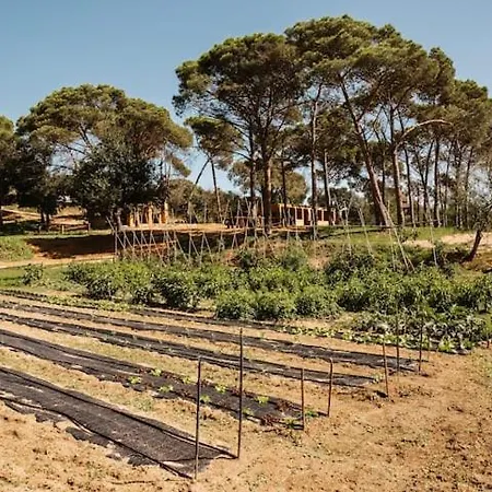 Acacias En El Campo בית נופש San Poncio
