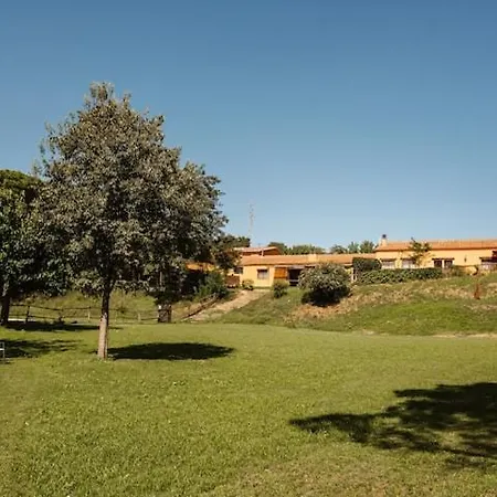 Acacias En El Campo * San Poncio